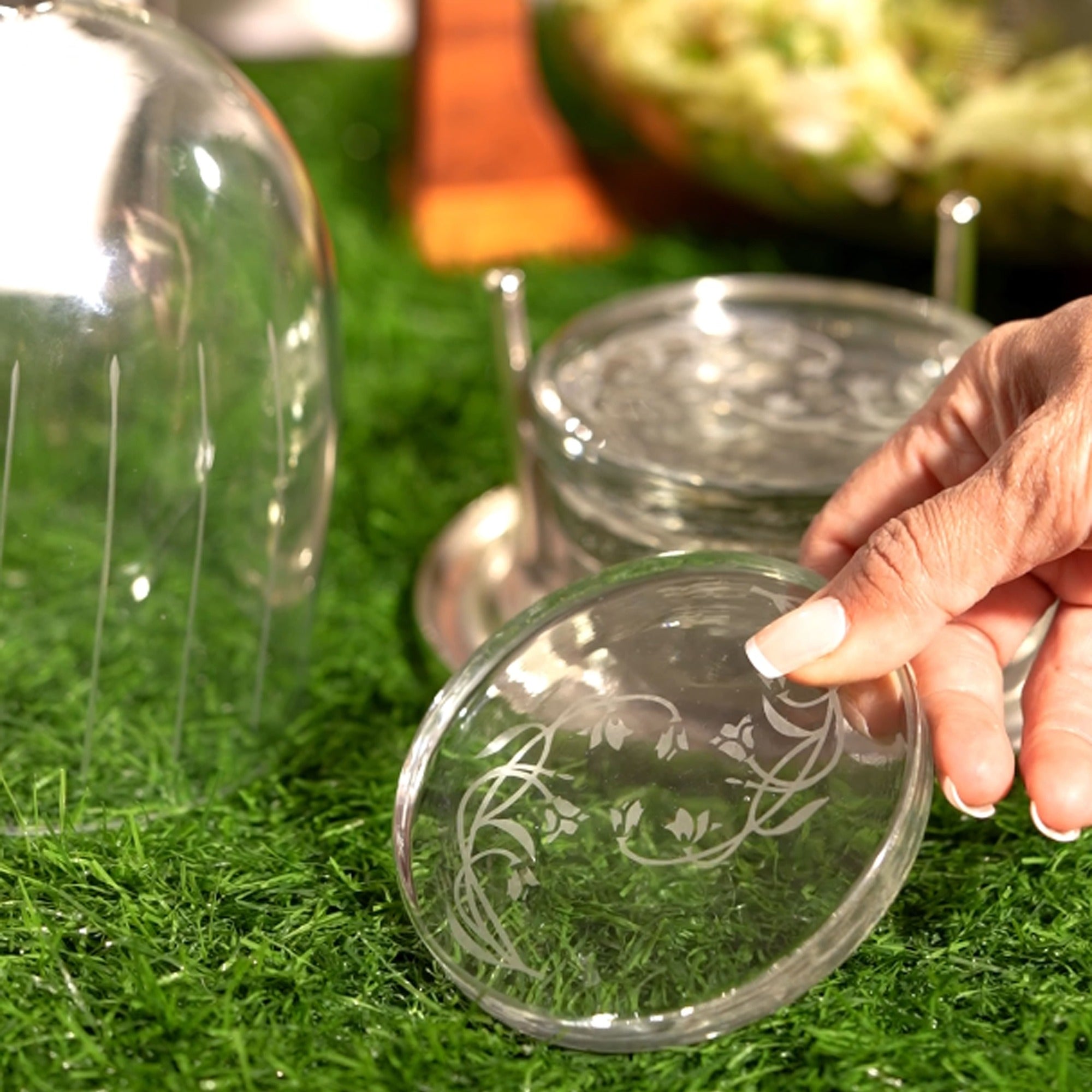 Tulip Coaster Holder with 4 Coasters